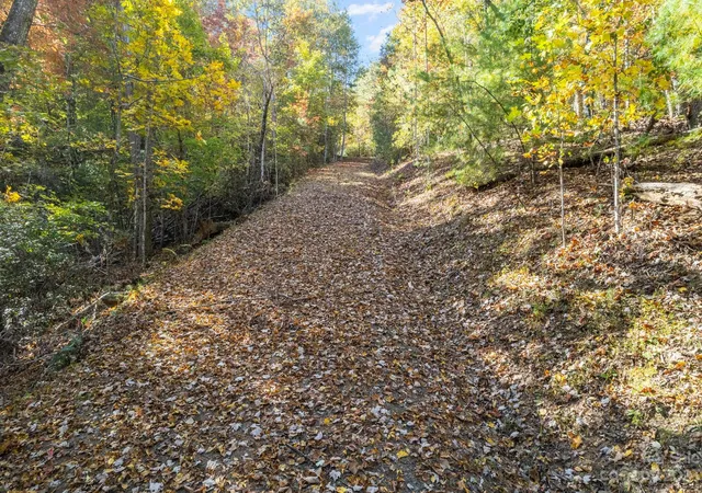 3rd image of 0 Birddog Blvd, Lake Lure, NC 28746 | MLS# 3908602