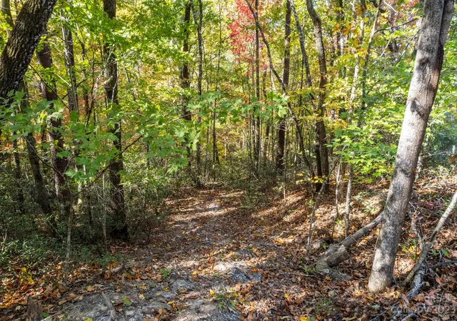 5th image of 0 Birddog Blvd, Lake Lure, NC 28746 | MLS# 3908602