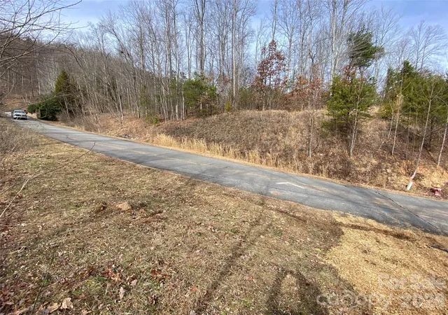 4th image of 46 Holmstead Dr #46, Lake Lure, NC 28746 | MLS# 3909229