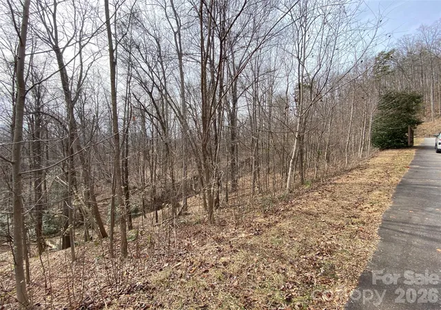 5th image of 46 Holmstead Dr #46, Lake Lure, NC 28746 | MLS# 3909229