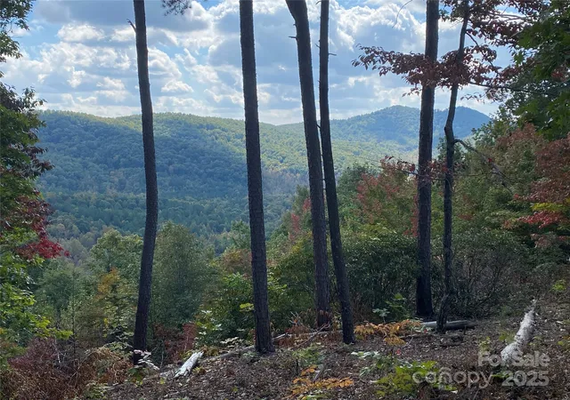 1st image of 61 Scenic Vista Dr #238, Nebo, NC 28761 | MLS# 3910496