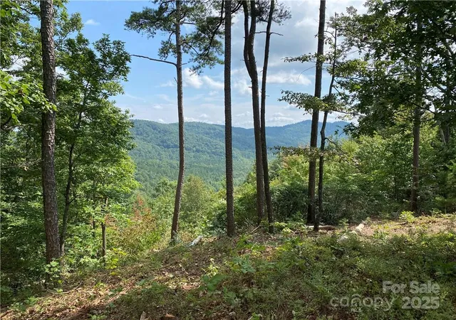 2nd image of 61 Scenic Vista Dr #238, Nebo, NC 28761 | MLS# 3910496