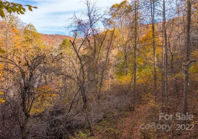 Photo 2 of Land for sale at 000 Drake Cove Rd, Mars Hill, NC 28754 | MLS# 3915364 | Listing updated on 2025-09-29