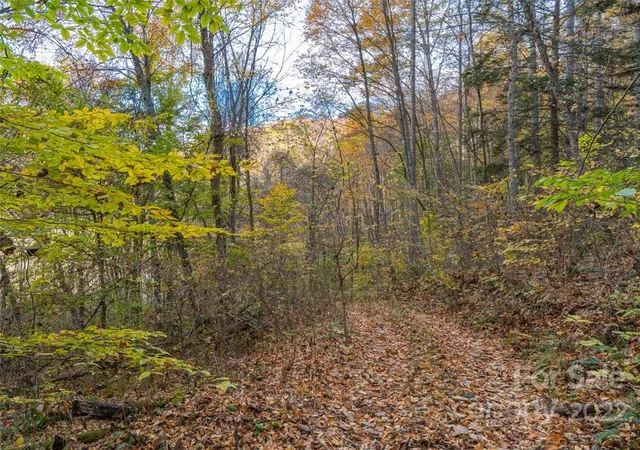Photo 3 of Land for sale at 000 Drake Cove Rd, Mars Hill, NC 28754 | MLS# 3915364 | Listing updated on 2025-09-29