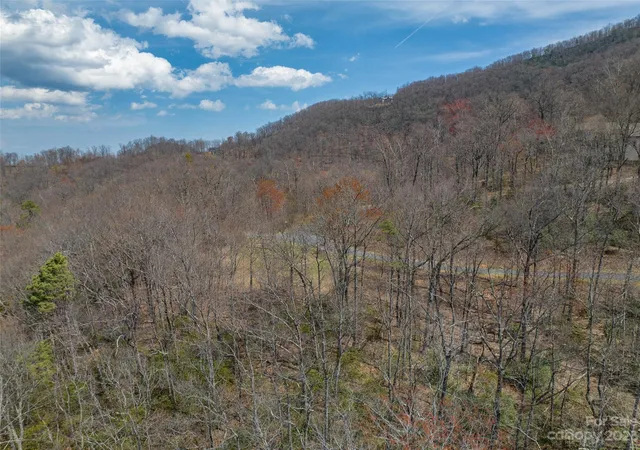 Homes for sale in Black Mountain, NC | 187 Arcadia Falls Way #77, Black Mountain, NC 28711 | MLS# 3923498