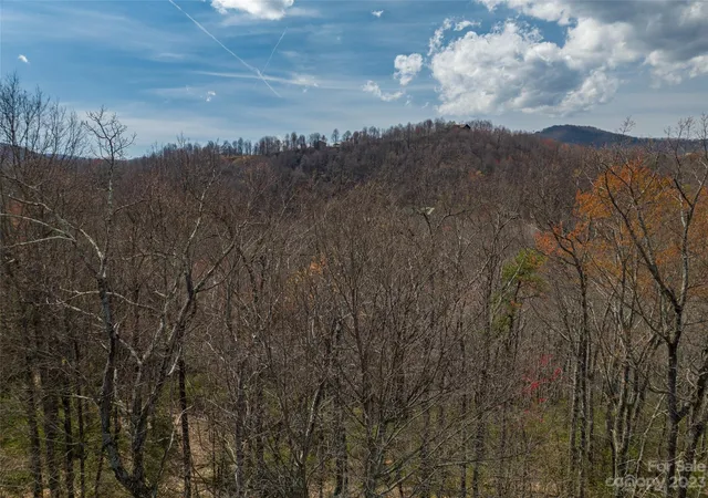 Homes for sale in Black Mountain, NC | 187 Arcadia Falls Way #77, Black Mountain, NC 28711 | MLS# 3923498