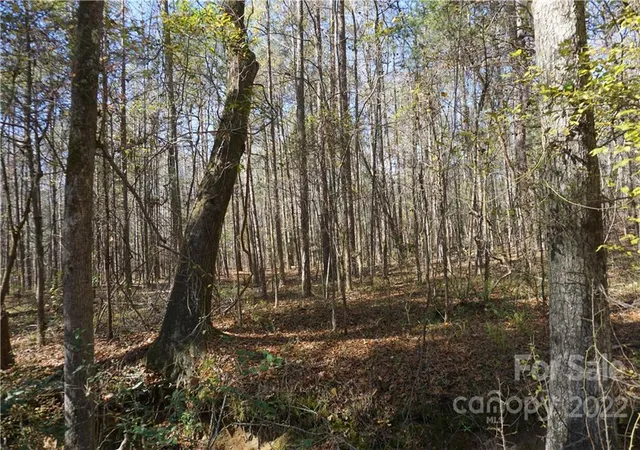 Photo 1 of Land for sale at 1064 Ac Burree Rd #6, Clover, SC 29710 | MLS# 3927176 | Listing updated on 2026-04-15