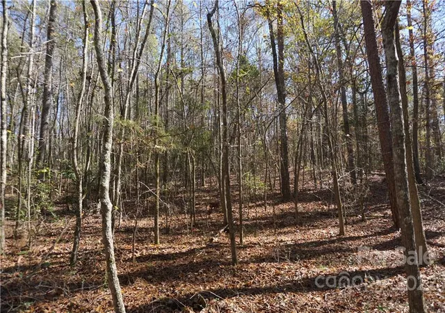 Photo 2 of Land for sale at 1064 Ac Burree Rd #6, Clover, SC 29710 | MLS# 3927176 | Listing updated on 2026-04-15