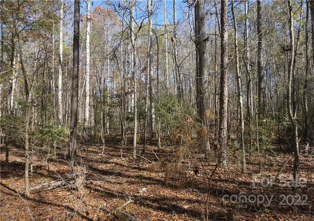 Photo 3 of Land for sale at 1064 Ac Burree Rd #6, Clover, SC 29710 | MLS# 3927176 | Listing updated on 2026-04-15