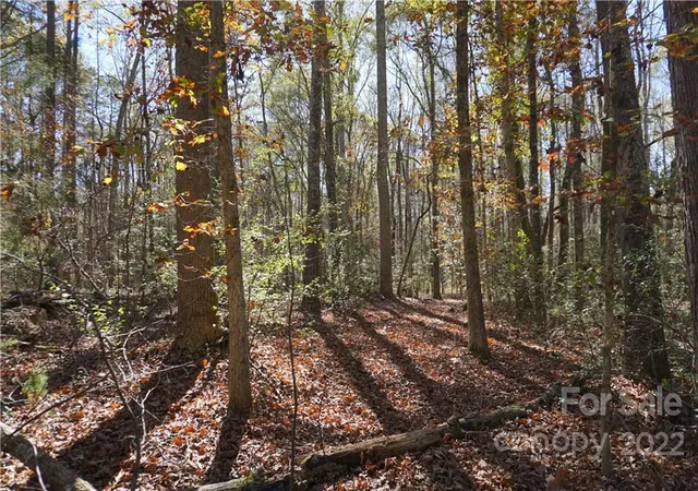Photo 3 of Land for sale at 1064 Ac Burree Rd #6, Clover, SC 29710 | MLS# 3927176 | Listing updated on 2026-04-15