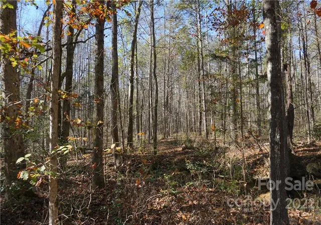 Photo 4 of Land for sale at 1064 Ac Burree Rd #6, Clover, SC 29710 | MLS# 3927176 | Listing updated on 2026-04-15