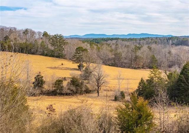 9th image of V/l Hwy 126 Hwy, Nebo, NC 28761 | MLS# 3933328
