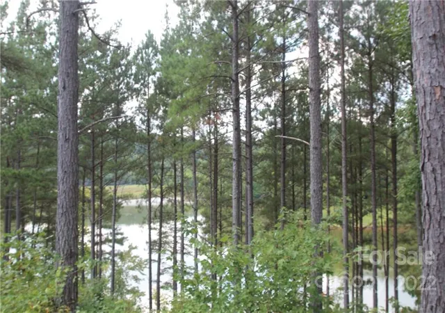 4th image of 2038 & 2048 Inlet Shore Rd Ne #24 & 25, Connelly Springs, NC 28612 | MLS# 3934142