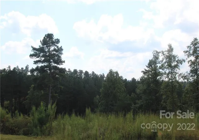 5th image of 2038 & 2048 Inlet Shore Rd Ne #24 & 25, Connelly Springs, NC 28612 | MLS# 3934142