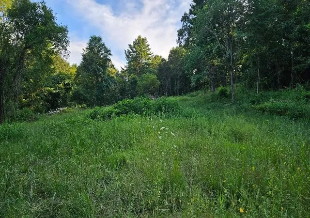 Photo 3 of Land for sale at 35 Blash, Thompson, CT 06255 | MLS# 73566859 | Listing updated on 2026-08-25