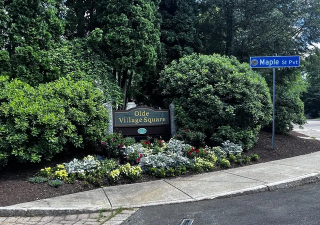 42nd image of 29 Maple Lane #29, Medfield, MA 02052 | MLS# 73538505