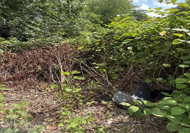 Photo 2 of Land for sale at 756 R Berkley St, Berkley, MA 02779 | MLS# 73564599 | Listing updated on 2026-09-01