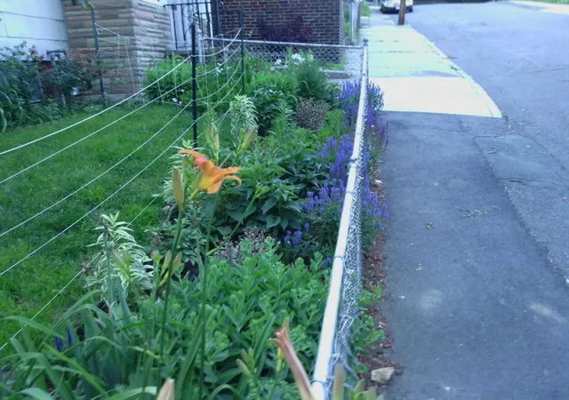 image of 15r & 15 Lambert Ave, Chelsea, MA 02150 | MLS# 73567941