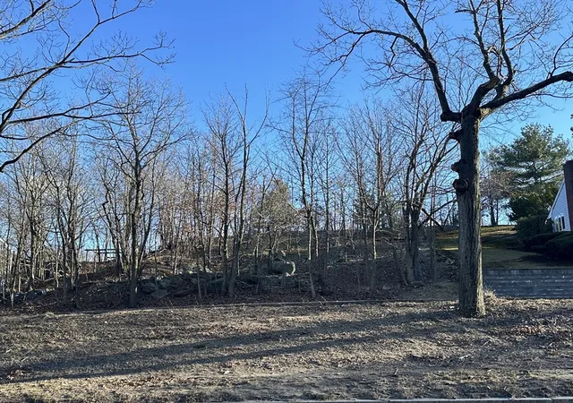 3rd image of 0 Vfw Parkway, West Roxbury, MA 02132 | MLS# 73491016