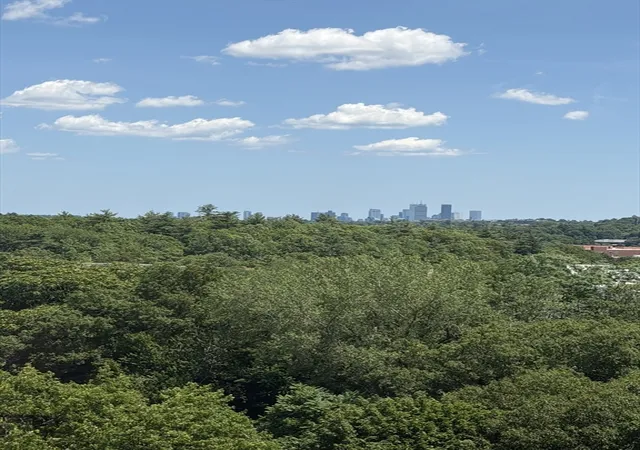 26th image of 250 Hammond Pond Parkway #1207S, Chestnut Hill, MA 02467 | MLS# 73549146