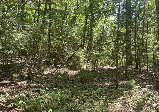 Photo 1 of Land for sale at Lot 19 Bernard Whitney Rd, New Braintree, MA 01531 | MLS# 73552715 | Listing updated on 2026-08-23