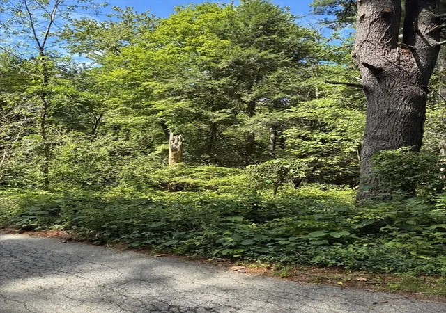 Photo 2 of Sale Pending at 0 Meyer Ln, South Hamilton, MA 01982 | MLS# 73560309 | Listing updated on 2026-09-18