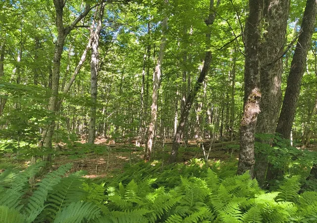 1st image of Lot 2 Holcomb Road, Chester, MA 01011 | MLS# 73543991