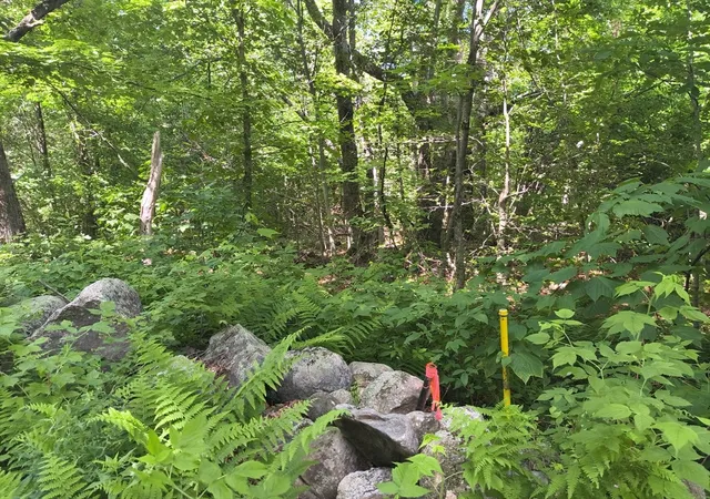 2nd image of Lot 2 Holcomb Road, Chester, MA 01011 | MLS# 73543991