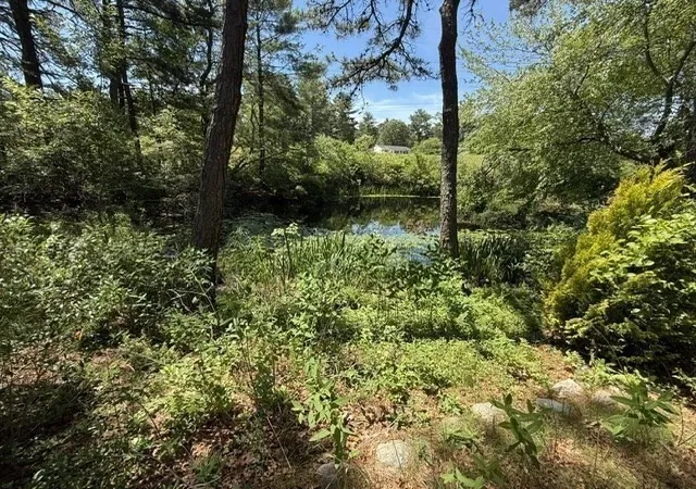 32nd image of 241 Glen Charlie Rd, East Wareham, MA 02538 | MLS# 73546789