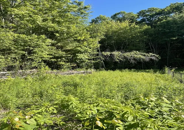 Homes for sale in Belchertown, MA | Lot D 2 Jason's Way, Belchertown, MA 01007 | MLS# 73537358