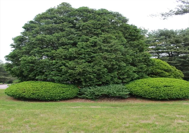 3rd image of 904 Edgebrook Dr #904, Boylston, MA 01505 | MLS# 73531619