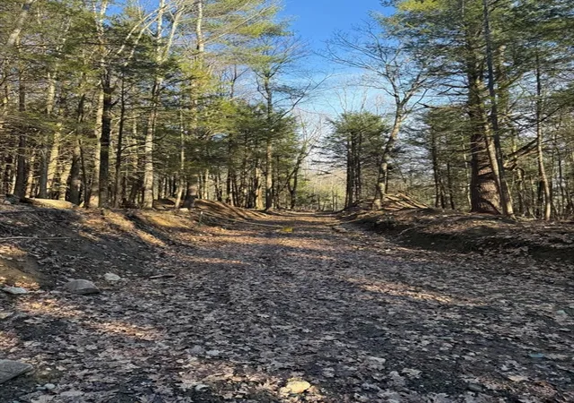 Homes for sale in Blandford, MA | 0 Old Chester Rd (Rear), Blandford, MA 01008 | MLS# 73499905