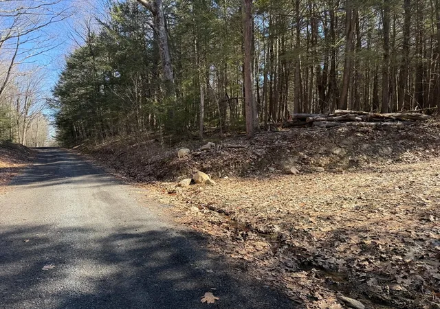 Homes for sale in Blandford, MA | 0 Old Chester Rd (Rear), Blandford, MA 01008 | MLS# 73499905