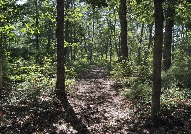4th image of 202 Ashumet Rd, East Falmouth, MA 02536 | MLS# 73554151