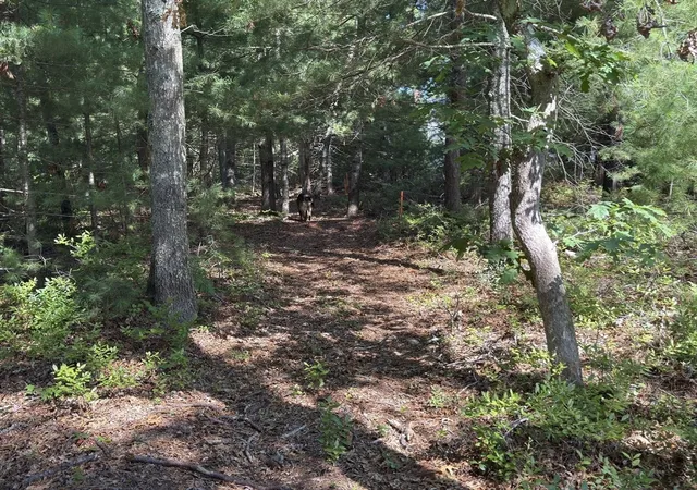 5th image of 202 Ashumet Rd, East Falmouth, MA 02536 | MLS# 73554151
