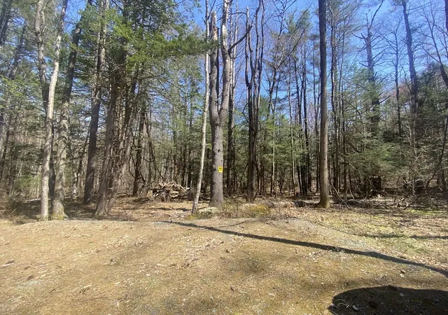 Homes for sale in Charlemont, MA | 0 Schaefer Way, Charlemont, MA 01339 | MLS# 73462629