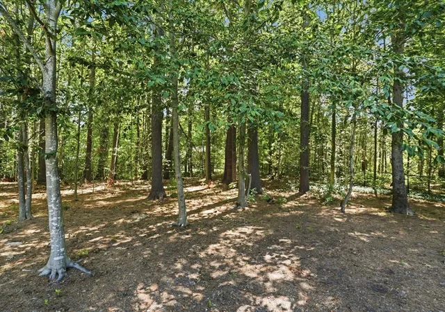 42nd image of 61 Stoney Weir Rd, Halifax, MA 02338 | MLS# 73538050