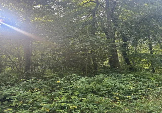 3rd image of Lot 2 Petersham Rd, Hardwick, MA 01037 | MLS# 73560533