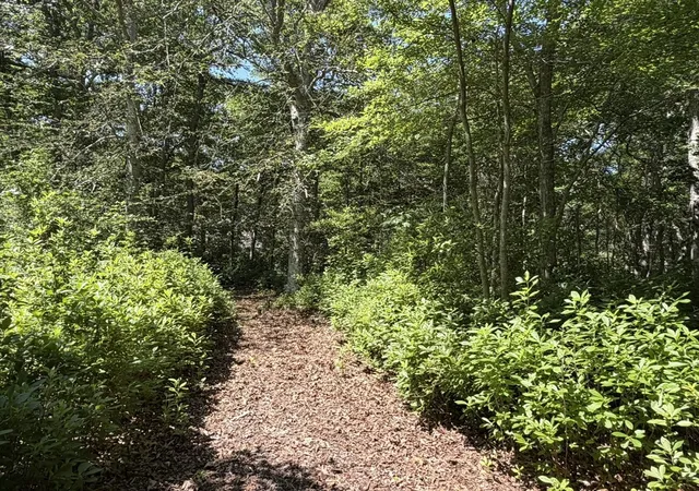 Photo 3 of Land for sale at 0 N 15 Belhaven Way, Chilmark, MA 02535 | MLS# 73501793 | Listing updated on 2026-08-29