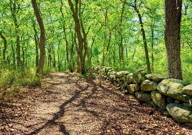 Photo 4 of Land for sale at 0 N 15 Belhaven Way, Chilmark, MA 02535 | MLS# 73501793 | Listing updated on 2026-08-29