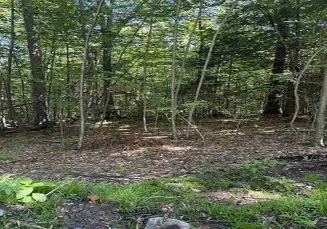 Photo 4 of Land for sale at 0 Laurel Lake Rd, Royalston, MA 01368 | MLS# 73569518 | Listing updated on 2026-09-01