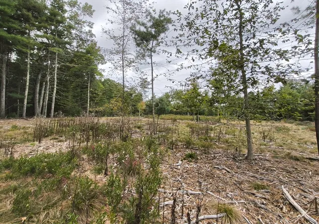 Photo 3 of Land for sale at 0 Cobb St, Norton, MA 02766 | MLS# 73551617 | Listing updated on 2026-07-21
