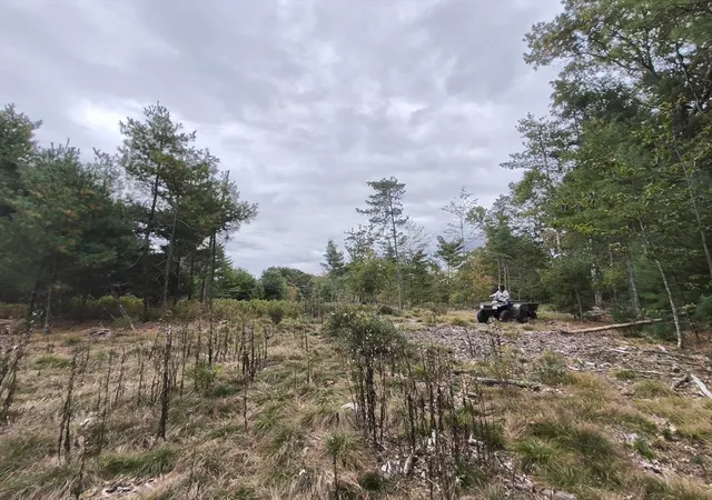 Photo 3 of Land for sale at 0 Cobb St, Norton, MA 02766 | MLS# 73551617 | Listing updated on 2026-07-21