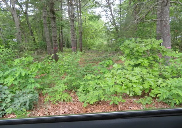 1st image of 0 Burt Street, Norton, MA 02766 | MLS# 73527655