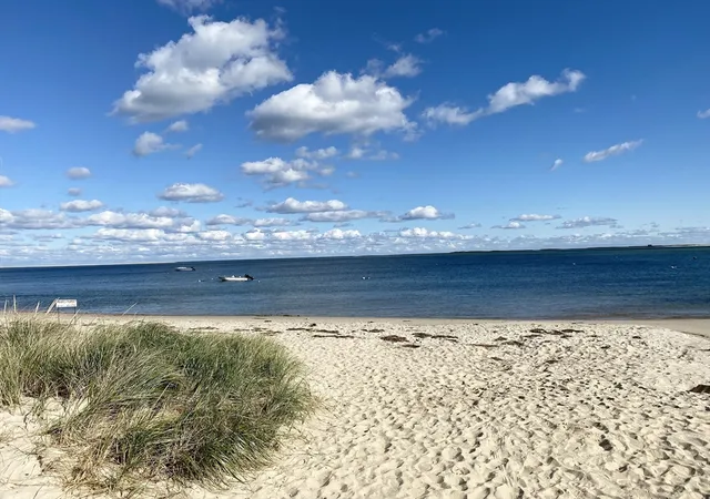 37th image of 19 Joshuas Way, Chatham, MA 02633 | MLS# 73552511