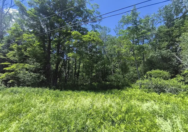Homes for sale in Worthington, MA | 0 Brown Hill Road, Worthington, MA 01098 | MLS# 73539360