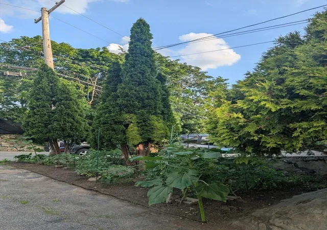 4th image of 18 Windsor Ave, Lynn, MA 01902 | MLS# 73550352
