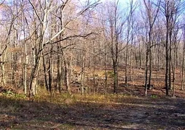 Photo 1 of Land for sale at 480 Mountain Rd, Wilbraham, MA 01095 | MLS# 73553809 | Listing updated on 2026-08-18