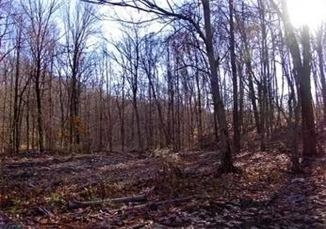 Photo 2 of Land for sale at 480 Mountain Rd, Wilbraham, MA 01095 | MLS# 73553809 | Listing updated on 2026-08-18