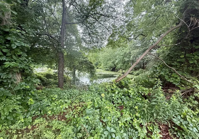 Homes for sale in Plainville, MA | 18 Taunton St #34, Plainville, MA 02762 | MLS# 73541497